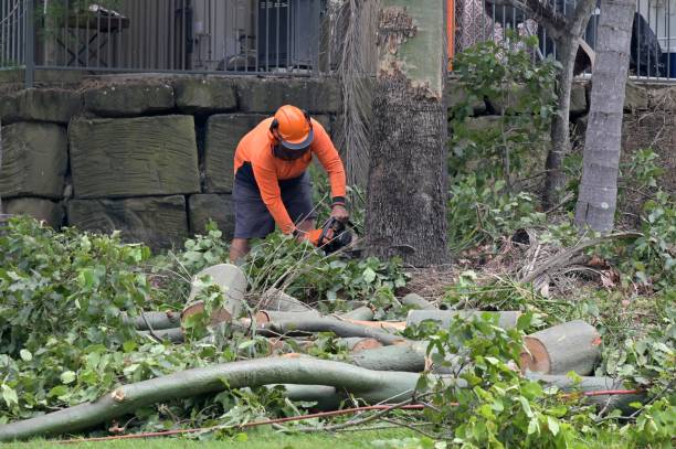 Best Storm Damage Tree Cleanup  in Aransas Pass, TX